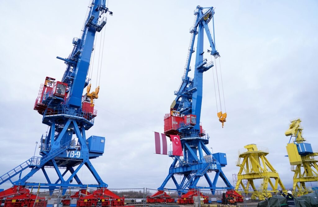 Rikon Cranes