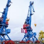 Rikon Cranes